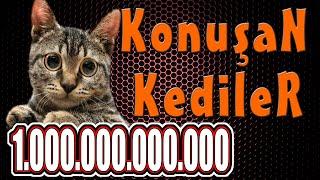 Konuşan Kediler 100000000000 - En Komik Kedi Videoları