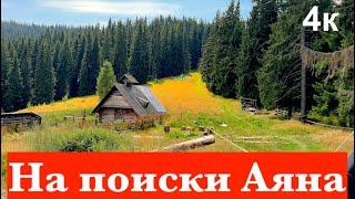 Приключение на полоныне Кукул. Карпаты. Кукул. Высокогорные колыбы. Украина  Природа Карпат.