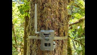 SpyPoint Flex M Trail Cam Review