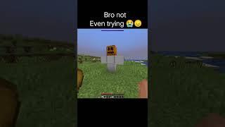 insane minecraft short #2025 #mem 20