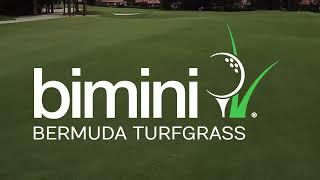 BIMINI® Bermuda l Golf Course Tour