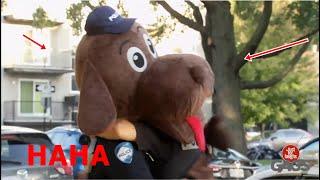 NEW,EPIC 1 HOUR - Just for Laughs Gags Epic Collection !!! 1 HOUR PART 45
