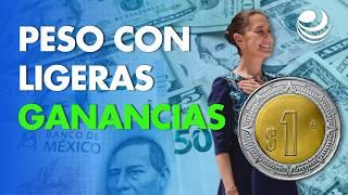 Peso opera con ligeras ganancias ante retroceso del dólar