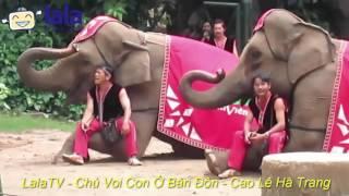 LalaTV - Chú voi con ở Bản Đôn - Cao Lê Hà Trang