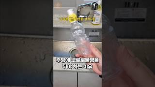 세제를 먹고 있다고요?! 지금 당장 주방에 이거 두세요 #주방꿀팁 #생활꿀팁 #설거지방법 #shorts