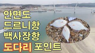 안면도 드르니항 백사장항 도다리 포인트