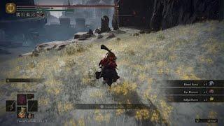 ELDEN RING Didnt' think it could hit me