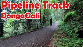 Pipeline Track , DongaGali || Nathiyagali 2024