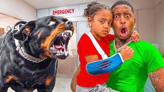 LONDYN GOT ATTACKED BY A DOG!