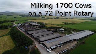 Milking 1700 Cows on a 72 Point Rotary - Scotland