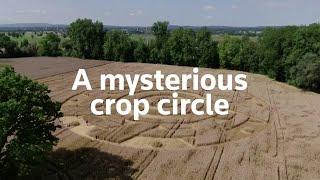 Bizarre crop circle appears in German field