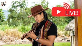 Return With Live Andean Music from Nature