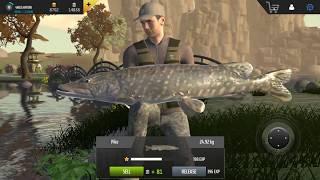 [Professional Fishing Mobile] New Personal Record Pike 24.92 kg