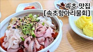 [속초항아리물회] 속초맛집, 속초가볼만한곳, 속초여행 Sokcho Trip