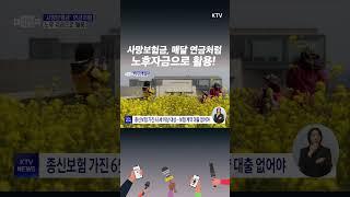 #사망보험금 살아있을 때 #연금 처럼 받아 노후자금으로 활용!
