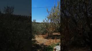🟧55.000€🟧 BARGAIN 🟧 COUNTRY HOUSE  IN ANDALUSIA | SPAIN