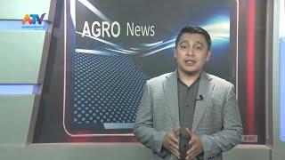 AGROPOLITAN NEWS EDISI RABU 30 AGUSTUS 2023 | ATV MALANG RAYA