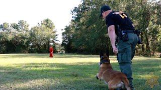 Charleston County K-9 Unit welcomes 57 dog teams