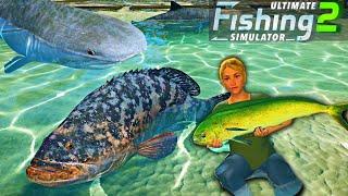 Major Update | NEW Water Physics and Fish Stamina | Beached Shark | Ultimate Fishing Simulator 2