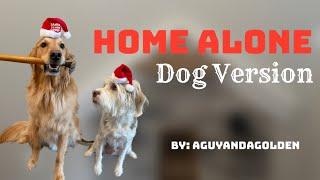 Home Alone DOG Version! (Adventures Of Teddy Episode 2)