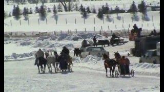 Chariot "Cutter" Races in Jackson Hole, WY