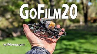 CaddxFPV GoFilm 20  // Walksnail Moonlight Kit