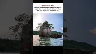Submerged for 364 Days… Then This Happens!"️