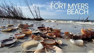 Post Hurricane Shelling. Hurricane Helene brought surge and shells to Fort Myers Beach.