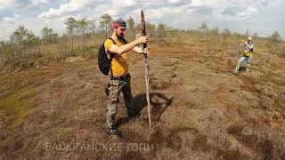 Васюганская топь. Экстрим- тур на самое большое верховое болото в мире