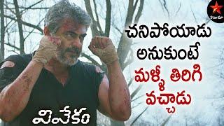 Ajith is Back Again! | Vivekam Full Movie Telugu | Ajith | Kajal Aggarwal | Star Maa