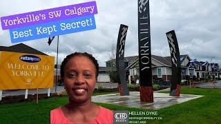 Yorkville's BEST KEPT SECRETS Revealed!