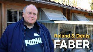 Roland & Denis Faber - Super hodowla z Niemiec 