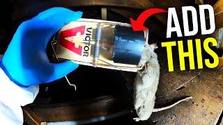 EASY RAT TRAP HACKS THAT WORK!! Catch MORE rats FASTER...