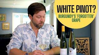 New Wine Recommendations: Pinot Blanc - The Other Pinot