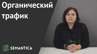 Органический трафик: что это и зачем он нужен | SEMANTICA