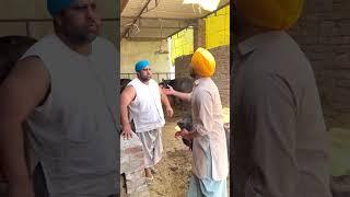 ਠੱਗ ਨਾਲ ਕੱਟੀ ਦਾ ਸੌਦਾ #funny #viral #trending