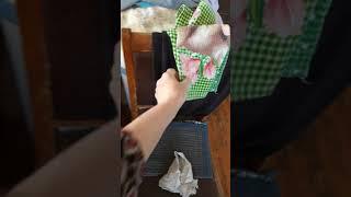 Чистка меха в домашних условиях