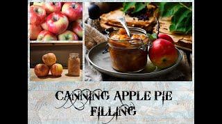 HOW I CAN APPLE PIE FILLING (NEVER DEAL WITH SIPHONING/OOZING AGAIN) | THE VIDEO I FORGOT TO UPLOAD!