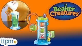 Beaker Creatures Magnification Chamber from Learning Resources