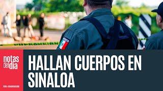 Siete cadáveres con huellas de tortura son abandonados en vía de Culiacán; FGE indaga