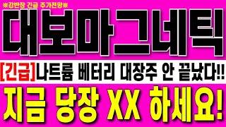 [대보마그네틱 주가 전망] 나트륨 베터리 대장주 안 끝났다!!글로벌 시장 점유율 70%독점 2차전지 핵심장비 강력추천 당장00해야하는이유!