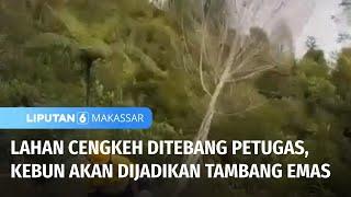 Tangisan Warnai Proses Penebangan, Kebun Warga akan Dijadikan Tambang Emas | Liputan 6 Makassar