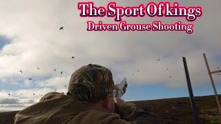 Driven Grouse Shooting, The Sport of Kings | Grouse Hunting