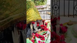JAY SHREE MAMADEV...  #mamadev