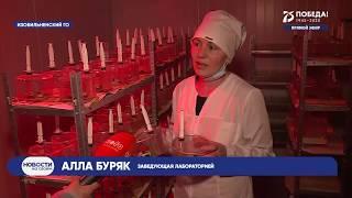 Новости Ставропольского края. Своё ТВ. Выпуск от 18.03.2020, 10:30