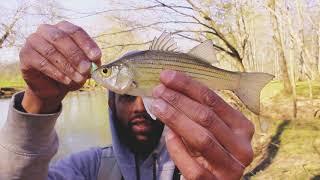 Ultralight Creek Fishing, Fishing Hays Nature Preserve  First Day of SPRING 2019!!