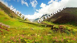 Valley of Flowers Trek, Valley of Flowers National Park & World Heritage Site, Uttarakhand || Ep04