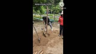 교목식재(조경기능사실기작업형)