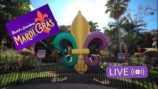 Mardi Gras at Busch Gardens Tampa! #buschgardens #mardigras