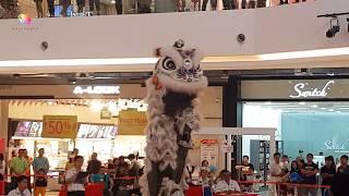 Traditional lion dance by Sungai Chua School alumni lion dance group at Ekocheras mall